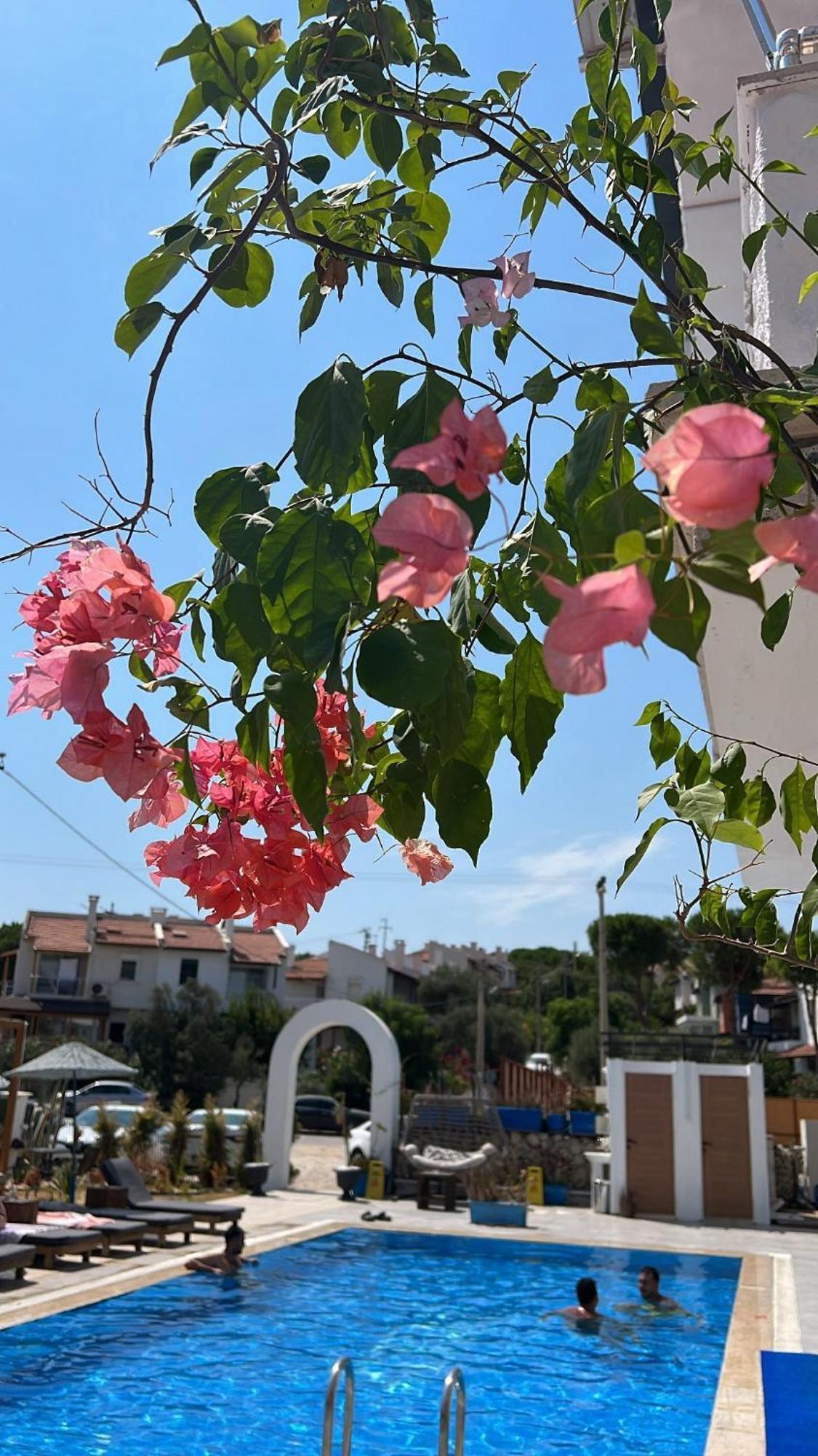 Belong Butik Otel Çeşme Εξωτερικό φωτογραφία