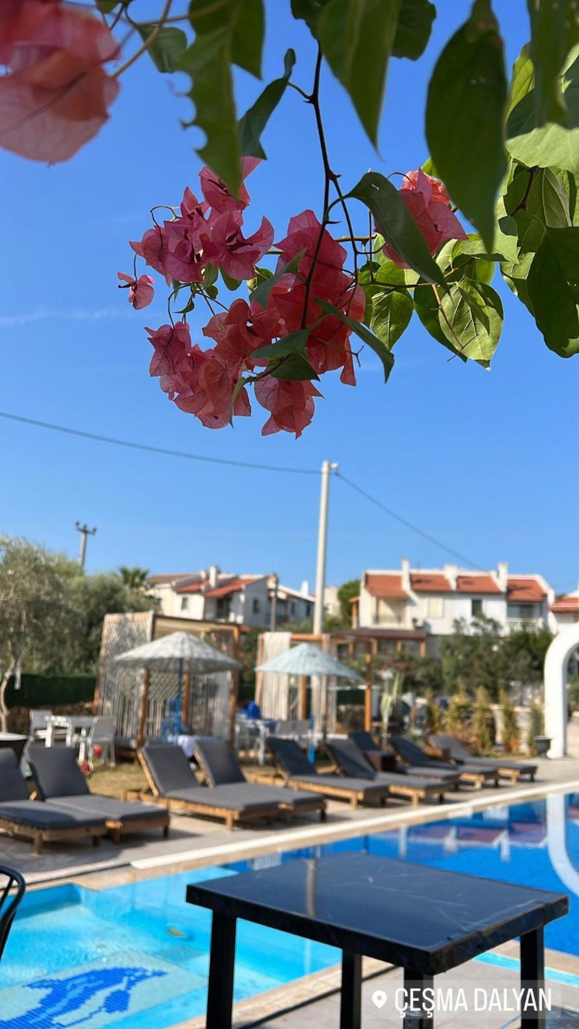 Belong Butik Otel Çeşme Εξωτερικό φωτογραφία