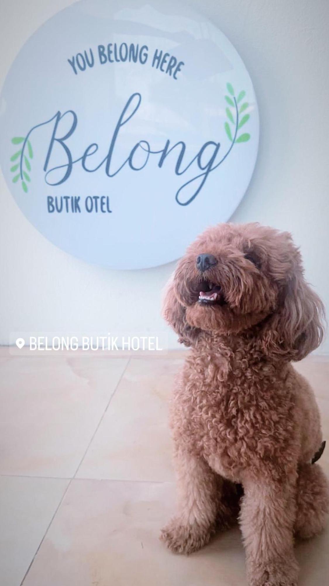 Belong Butik Otel Çeşme Εξωτερικό φωτογραφία