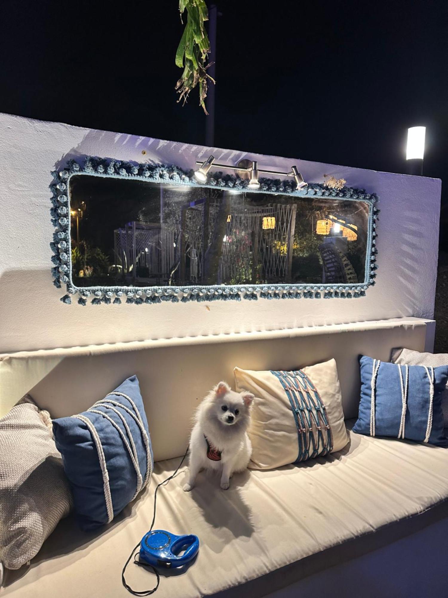 Belong Butik Otel Çeşme Εξωτερικό φωτογραφία